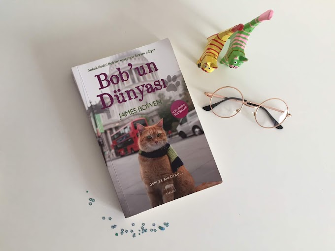 Bob'un Dünyası Kitap Yorumlarım