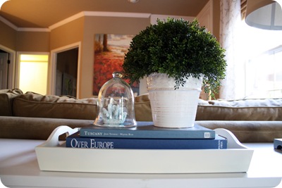 tray with books