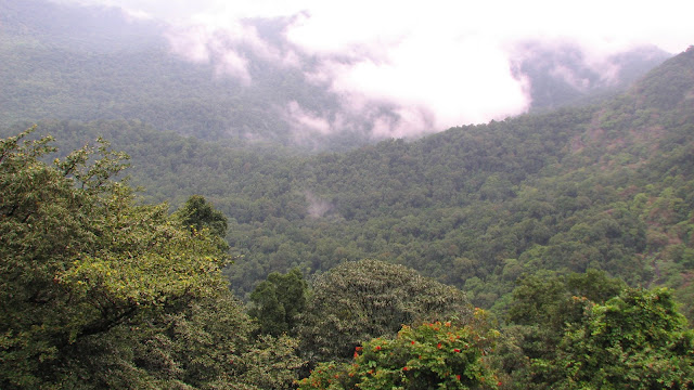  In spite of some heavy showers during  this stretch the lights on the route in addition to the overal IndiaTravel; Monsoon Road Trip of Western Ghats - 2013