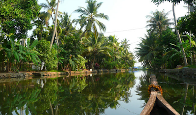 Kerala family tour packages