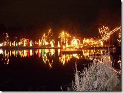 Woodland Lights