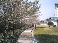 本館から南館への小道