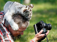 Fotos de encuentros entre fotógrafos y animales