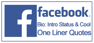 Cool Facebook bio one liner quotes for girls and boys, clever, witty and best lines, funny and creative facebook bio status and awesome intro quotes, best fb intro lines.