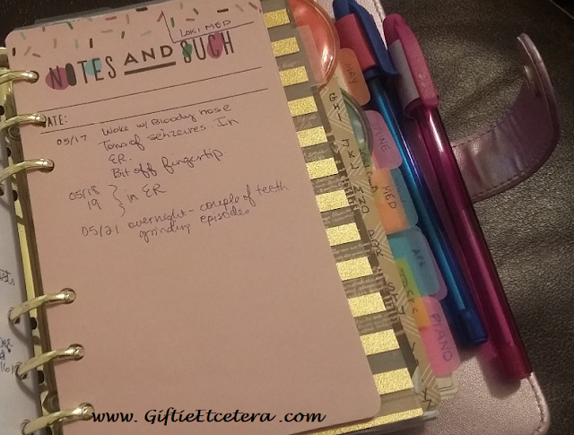 Notes in a Planner, planner