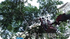 20150825_5859