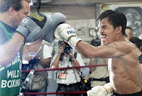 Pacquiao Margarito 24/7, Pacquiao vs Margarito, Pacquiao vs Margarito Coverage, Pacquiao vs Margarito News, Pacquiao vs Margarito Online Live Streaming, Pacquiao vs Margarito Updates