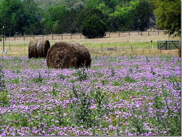 HayBales