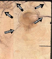 shakes defects in wood