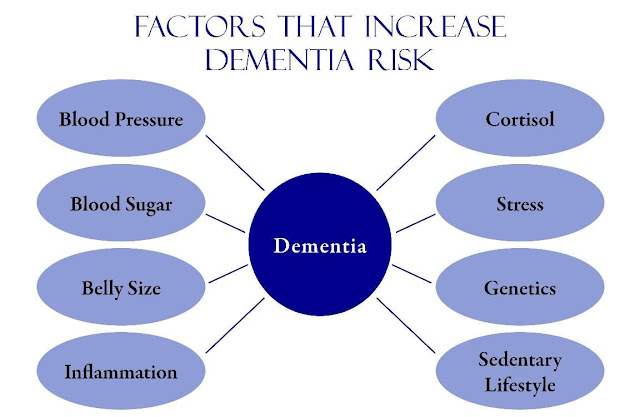 DEMENTIA DEMENTED Definition,