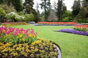 http://royallandscapes.net/our-services/landscape-design