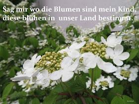 http://www.bundesregierung.de