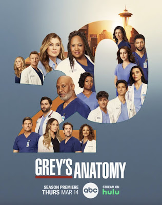 Greys Anatomy Season 20 Poster