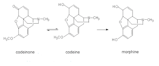 PENGERTIAN ALKALOID CONTOH DAN SIFAT ALKALOID