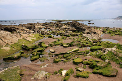 Rochers verts guillaume lelasseux 2009