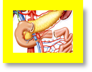 kidney transplant surgery kidney transplant in kuwait kidney transplant and covid vaccine kidney transplant advantages kidney transplant advantages and disadvantages kidney transplant after care kidney transplant anti rejection drugs