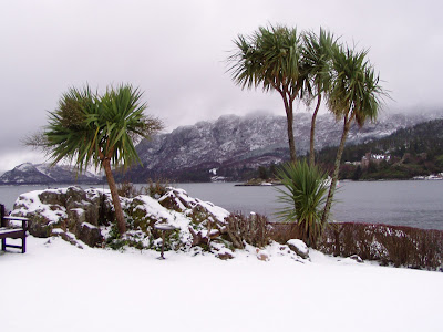 A snowy Christmas at Heron's Flight