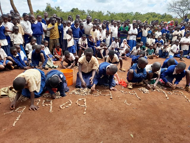 ELIMU YA MICHEZO KULETA MATOKEO CHANYA YA UJIFUNZAJI SHULE ZA MSINGI