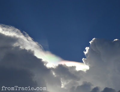 Fire Rainbow Laying On Clouds