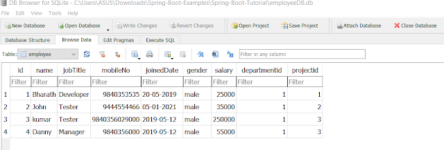 Spring boot JPA SQLite reading data