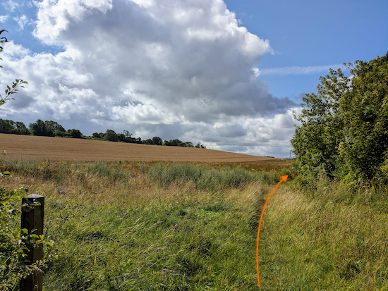 Continue on Hexton footpath 2 with the hedgerow on the right