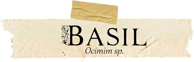 basil, herb magic, witchcraft, herbal remedies