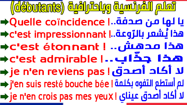 جمل رائعة باللغة الفرنسية تجعلك تتحدث ببراعة للمبتدئين Apprendre des phrases magnifiques pour parler en français pour les débutants