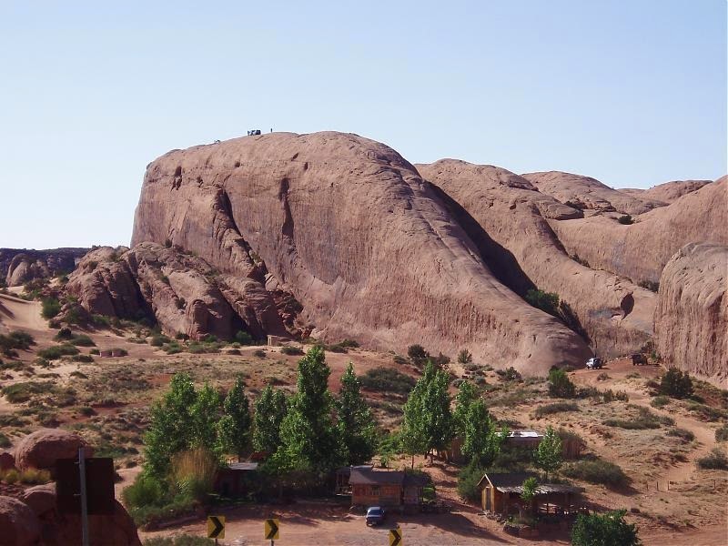 lions-back-moab-6