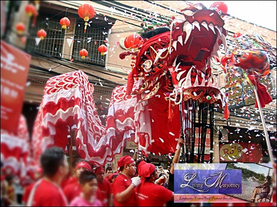 the biggest dragons – 350 feet long with a 3-foot diameter 