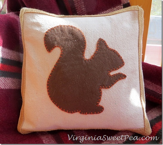 Squirrel Pillow for Fall