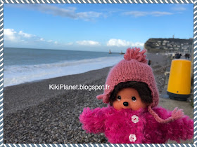 Diana la Monchhichi en visite à Fécamp, normandie, plage, tempête