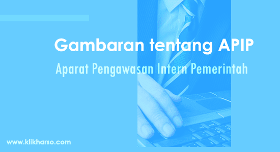 gambaran tentang apip