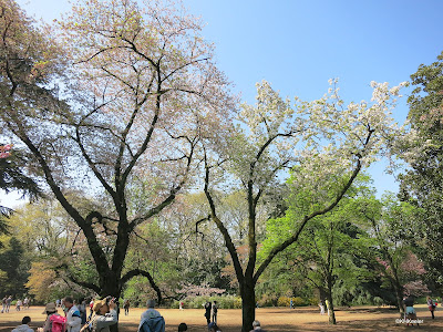 Tokyo park