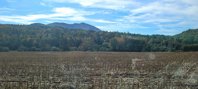 A field of corn brown cut corn stalks in the foreground. Mountains in the background. Blue sky and white clouds.