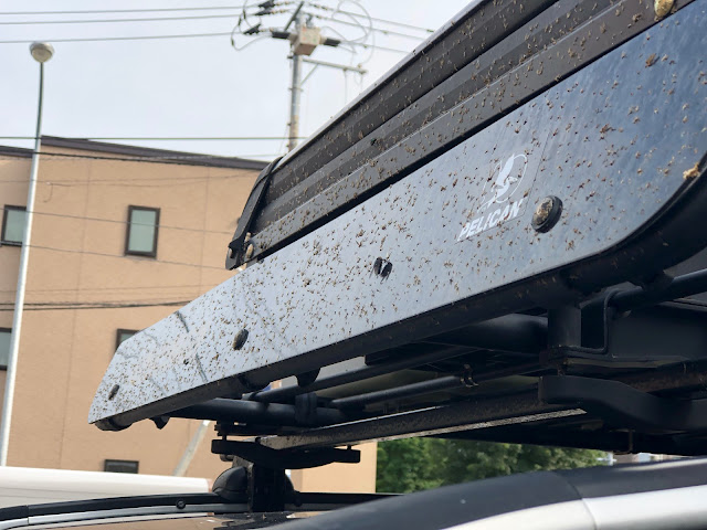 深夜の高速道路を走って、無数の虫の死骸が車にこびりついた！