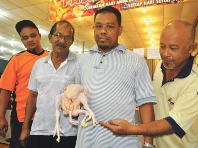 Pelanggan Terkejut Ayam Berkaki Empat