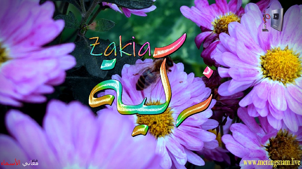 معنى اسم, زكية, وصفات, حاملة, هذا الاسم, Zakia,