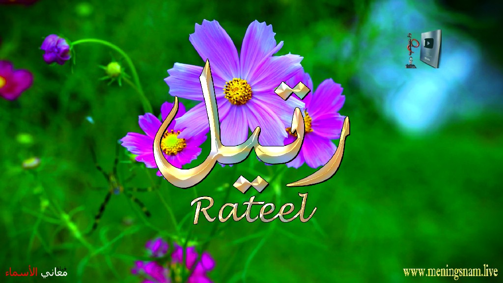 معنى اسم رتيل, وصفات, حاملة, وحامل, هذا الاسم, Rateel, ما معنى, معنى اسم اسماء, اسماء بنات, اسماء اولاد, معنى اسم محمد,  مريم, ميلا,  ليان, معنى اسم علي, ترجمة,  تيا,  يوسف, عمر,  روان,  ريماس,  يزن,  ميرا, ايلا,  نور,  احمد, مترجم, ليا,  ميرال,  سيليا,  اسيل,  ماريتا,  داليا,  ناي, اسماء بنات من الجنة, معنى اسم عمار, حنين,  وجد,  جوى,  لورا,  بندر, سيليا, ارام,  هتان,  حور,  سناء,  وتين,  ملاذ,  ريمان,  مسك, فريال, مازن, ميان, هند, رهام, ما معنى اسم ليان, معنى اسم ايلا,معنى اسم ليا,معنى اسم ميلا,معنى اسم ليلى,معنى اسم تيا,معنى اسم ليان,معنى اسم يارا,معنى اسم ميرا,معنى اسم يزن,معنى اسم مريم