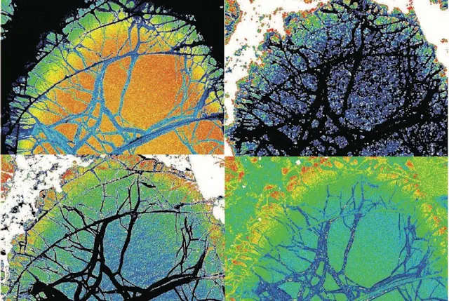 Researchers Discover Hottest Lavas Erupted in 2.5 Billion Years