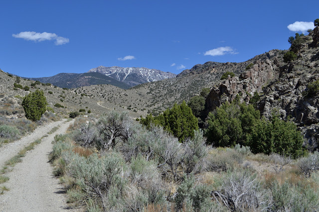 twists of road along the canyon