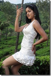ishita dutta hot in chanikyudu movie photos stills gallery cute and beautiful looking photo shoot photos stills images pics gallery