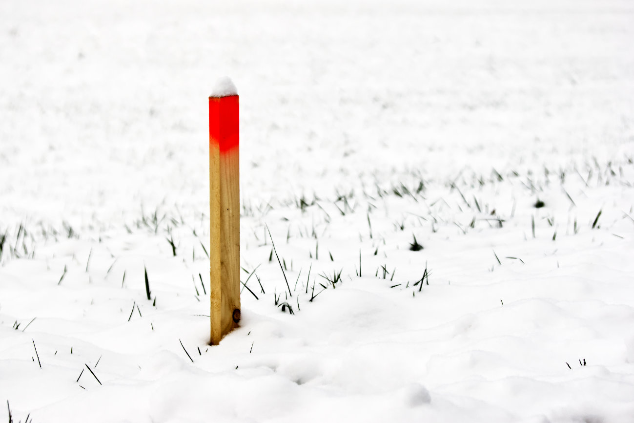 “Close to the ground” #52 — Vollpfosten, Hohlpfosten und Pfosten im Allgemeinen #41 — Rotköpfle mit Schneehaube