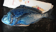 One Fish, Two Fish, Dead Fish, Blue Fish (blue fish print )