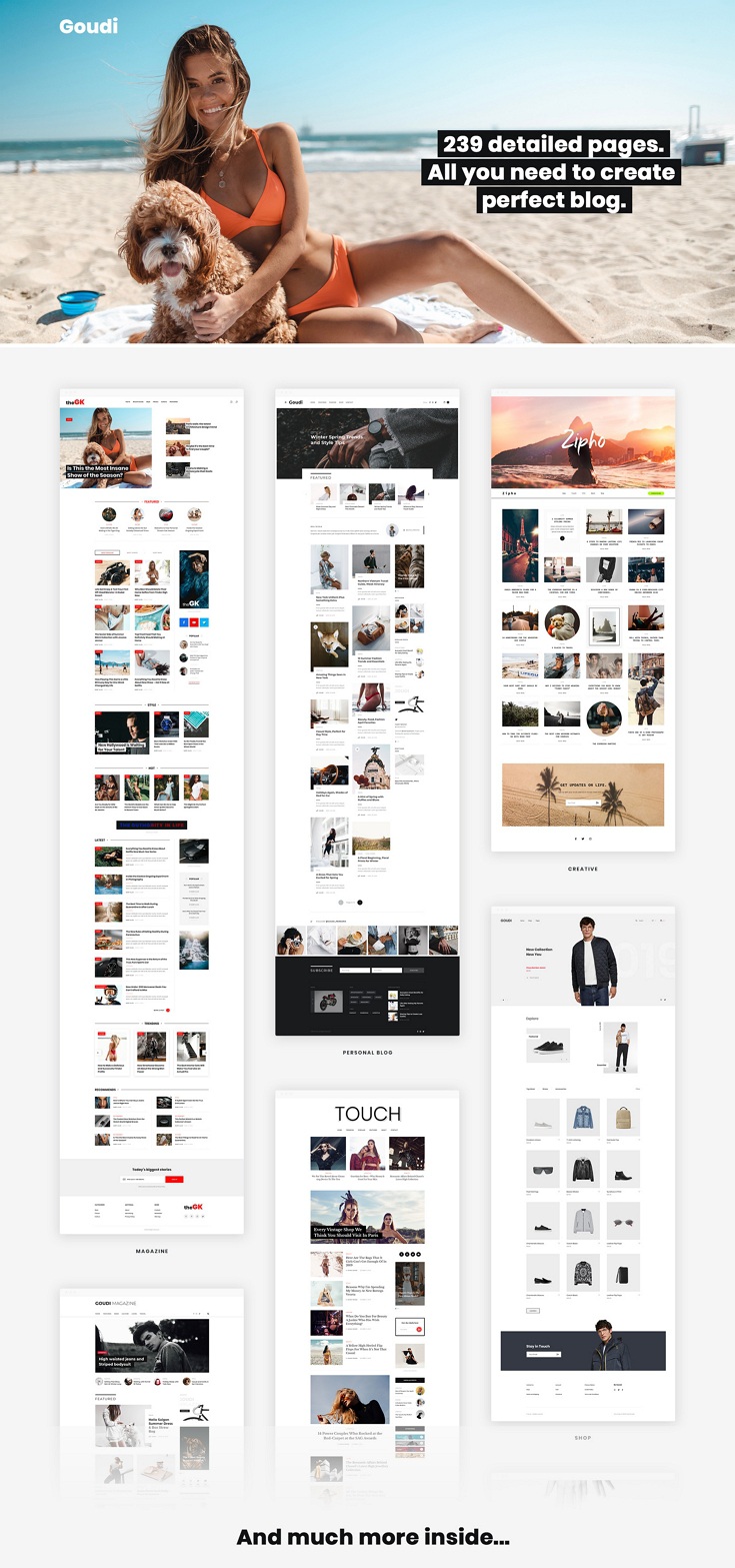 Premium Blog Magazine PSD Template