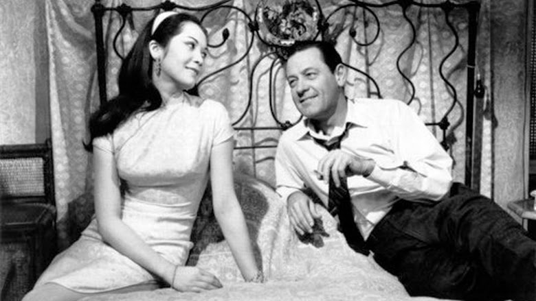 El mundo de Suzie Wong 1960 español latino descargar