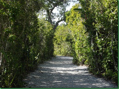 Historic Spanish Point 043