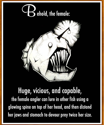 How The Male Angler Fish Gets Completely Screwed www.coolpicturegallery.net