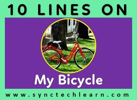 10 lines about my bicycle in english