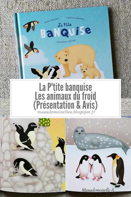 La P'tite banquise - Les animaux du froid (Présentation & Avis)