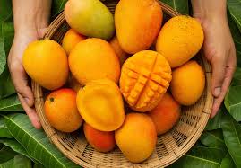 Can I Eat Mango 3 Days Before Colonoscopy